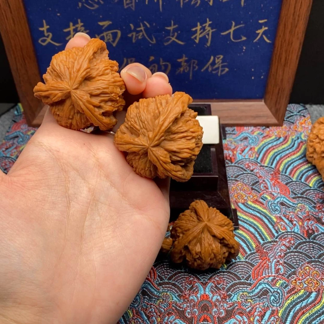 【闪购商品】天*白狮