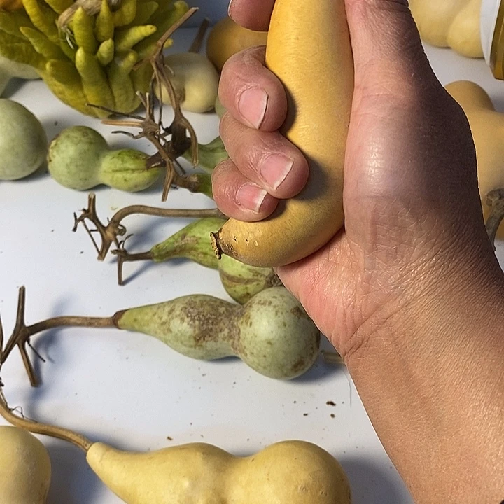 ****个异形葫芦手把件葫芦