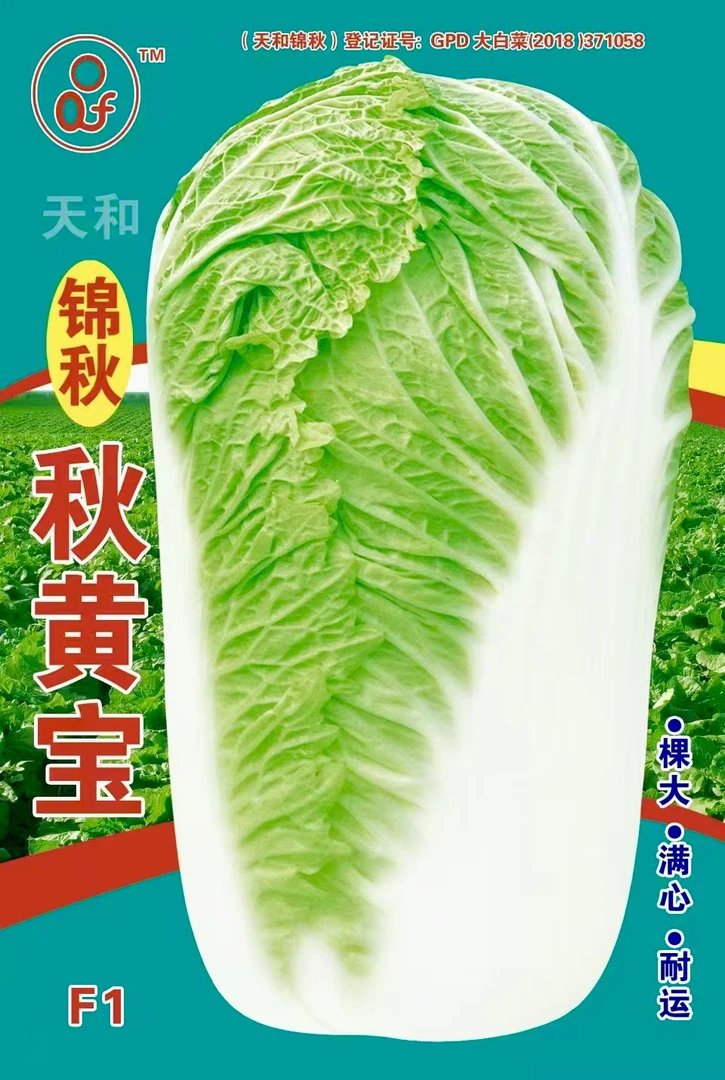 锦秋秋黄宝白菜种子（20克）