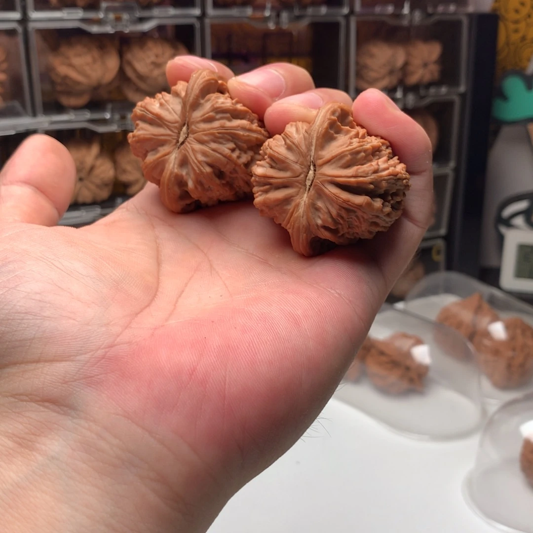 石***貔吊坠桃核白狮子666888