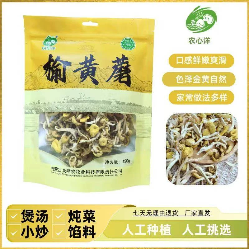 (榆黄蘑)农心洋榆黄蘑源头厂家人工种植无添加适合煲汤小炒馅料