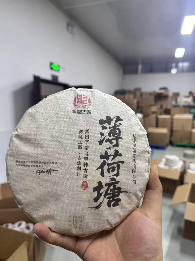 凰馨 2025年薄荷塘357克 头春头采生茶