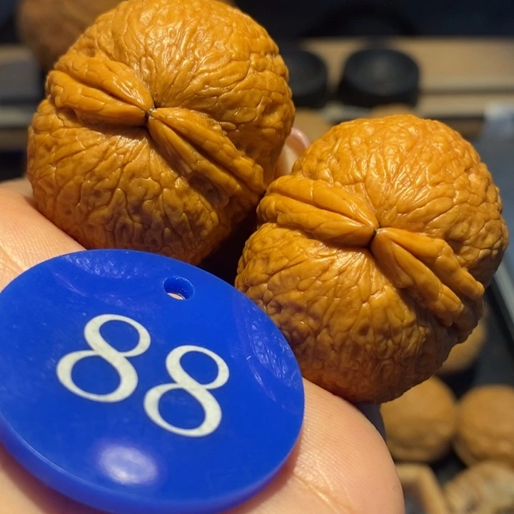 核桃资****人粗筋萌宝尺寸41