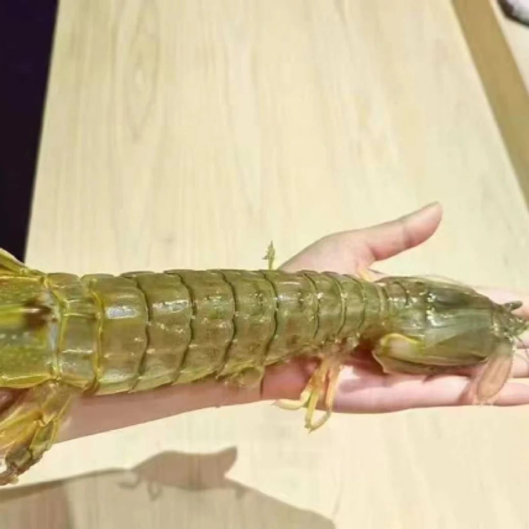 （鲜活）泰国富贵虾尿虾特大皮皮虾（2-3只）500克精品