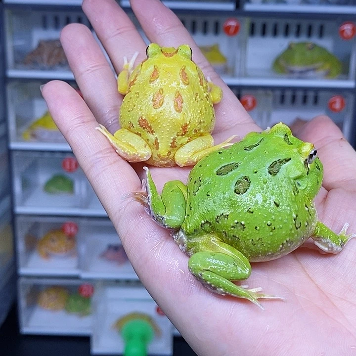 特价秒杀现货特价