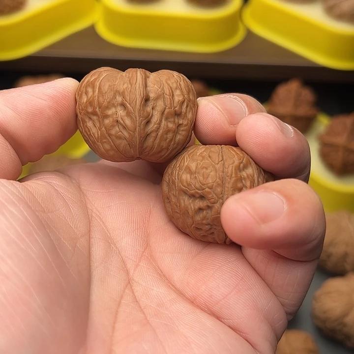 核桃36尺精配头货平谷元宝