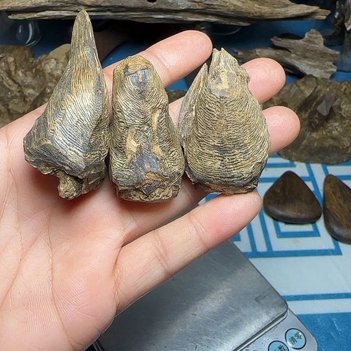 史***大木质母树绿奇大树丁26克