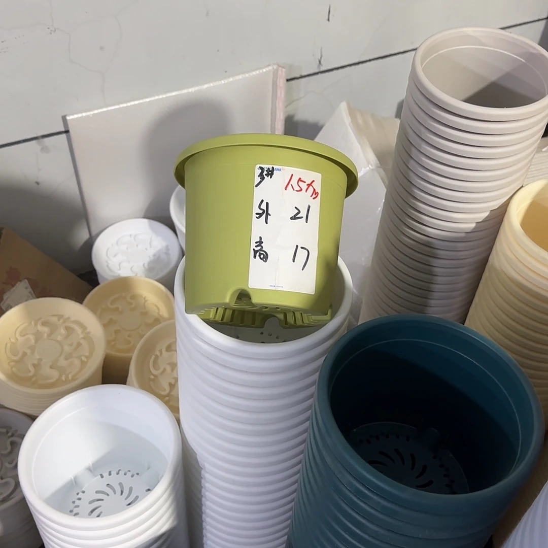 微瑕3号10个无托，果绿