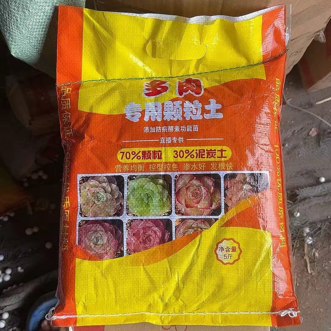 多肉颗粒百分之70颗粒30泥炭   小谢多肉上盆多肉植物庭院空气耐