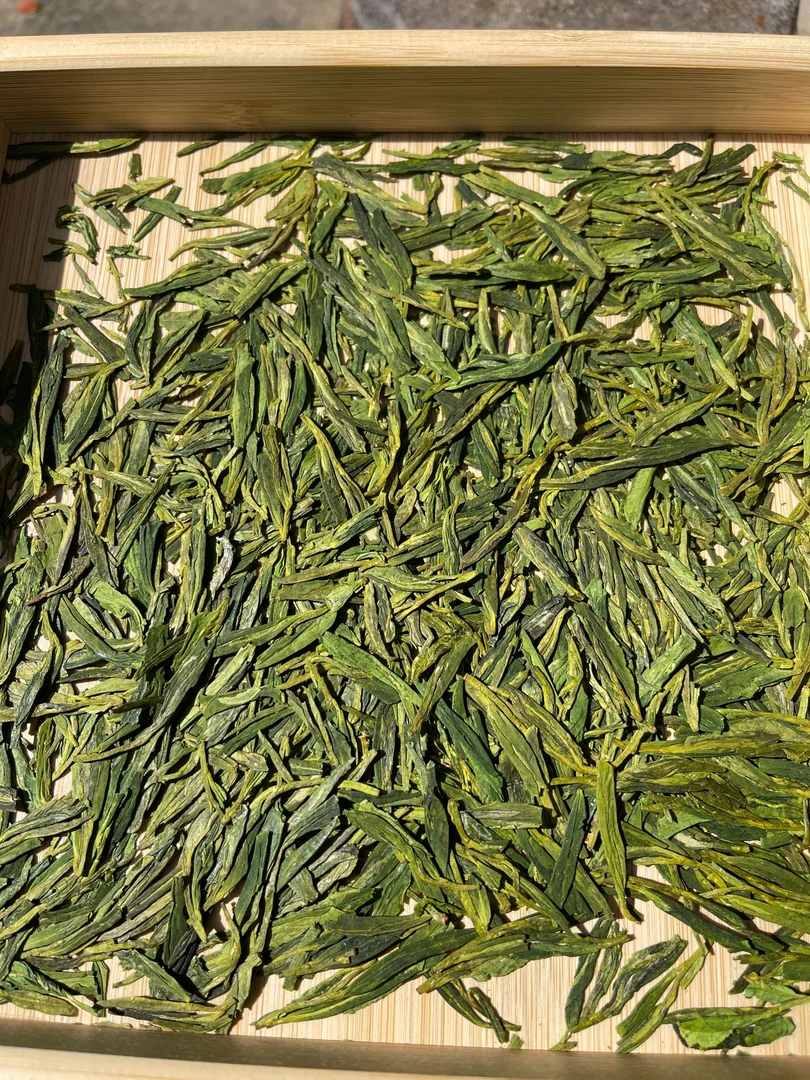 高山群体种老茶树雨前越州龙井茶绿版清香花香醇厚鲜爽回甘不苦涩