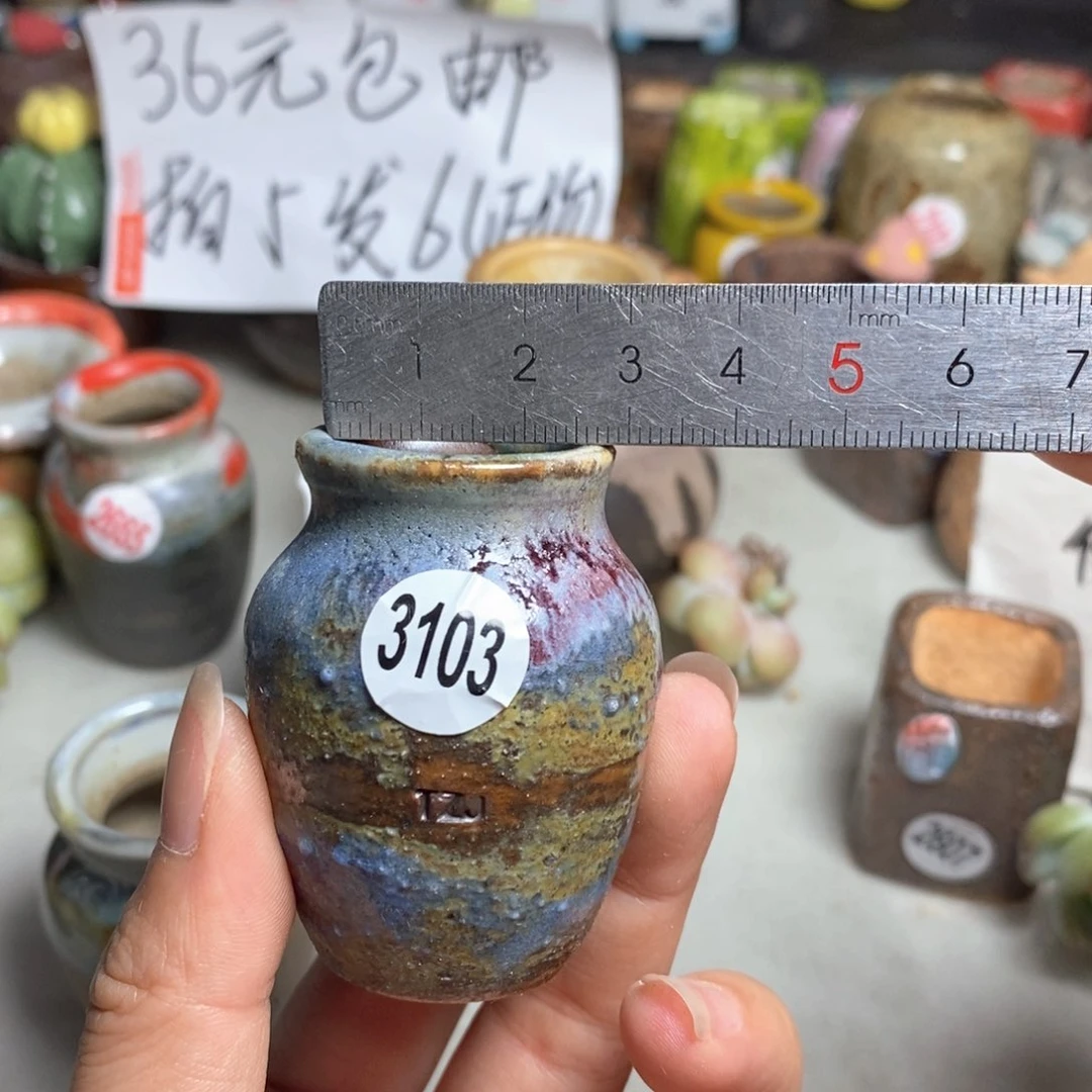 拍5送一个小礼物