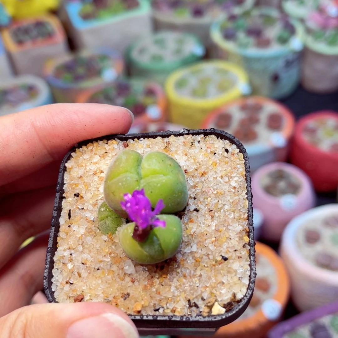 300。8888888888888888