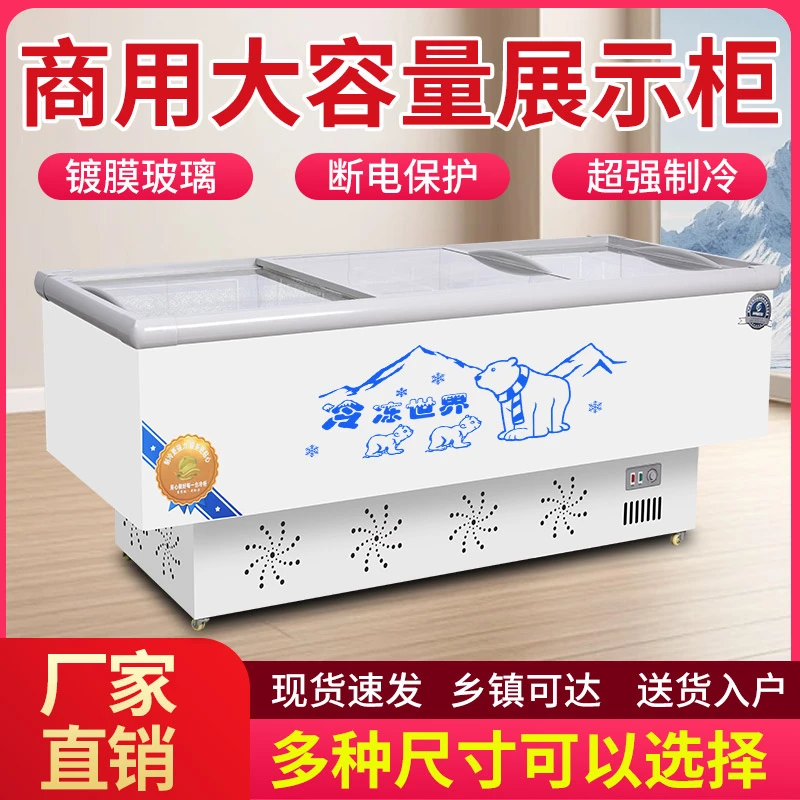 商用大冷柜展示柜冰柜冰箱冷冻冷藏厂家直发节能保鲜大容量两用