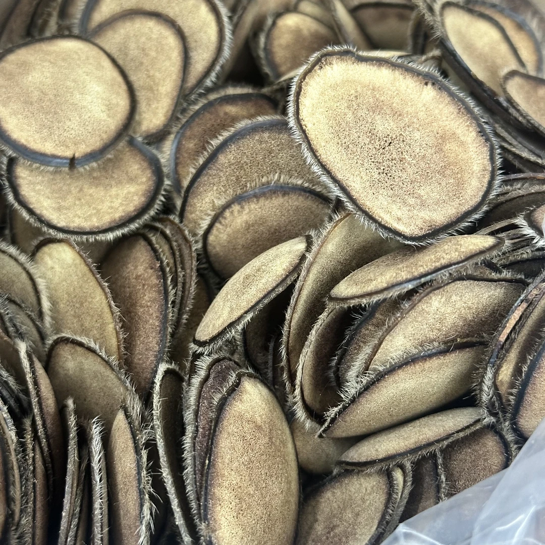 鹿茸片黄粉片 干货 20克 可搭配多种滋补原料用于泡水煲汤泡酒