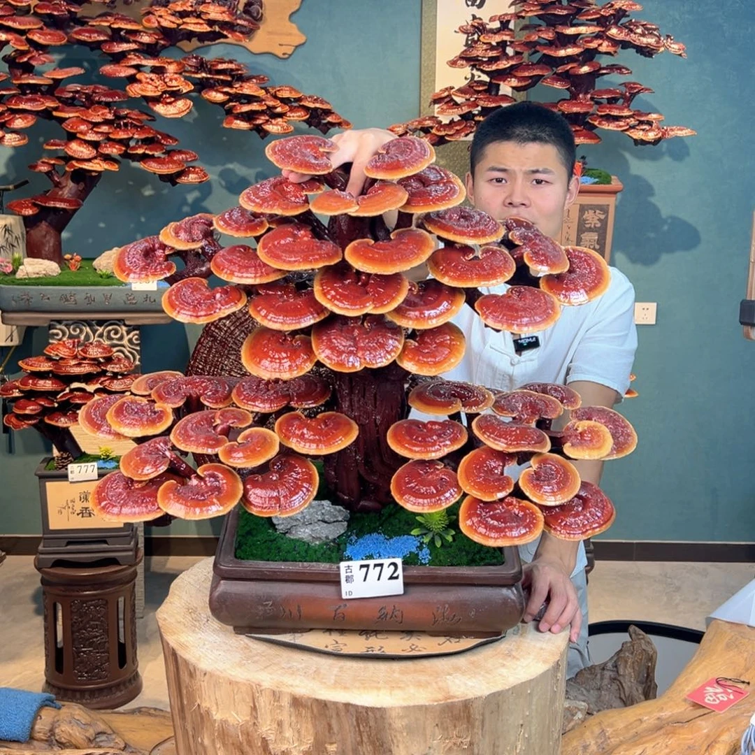 无花朵8888888888888