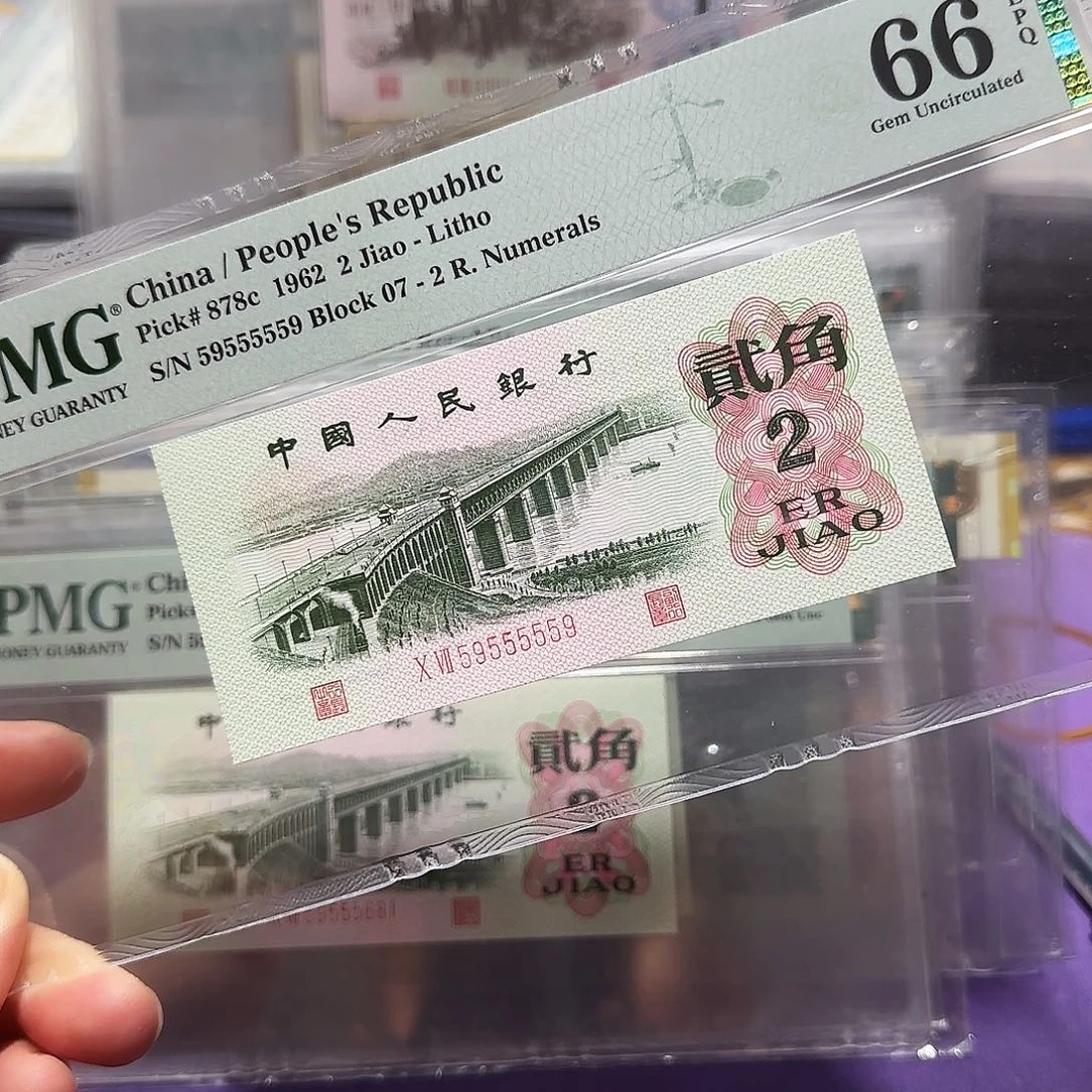 纸59555559。。。。数2老虎身背标