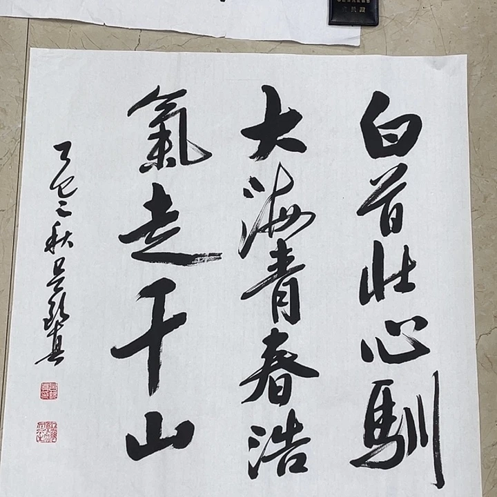 书法Lvqinzhenshufa