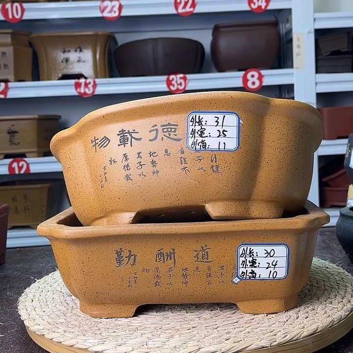 花盆紫砂你在一起