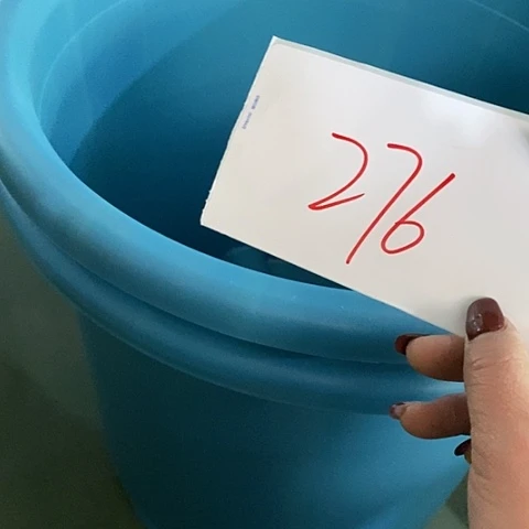 树脂编号276微瑕