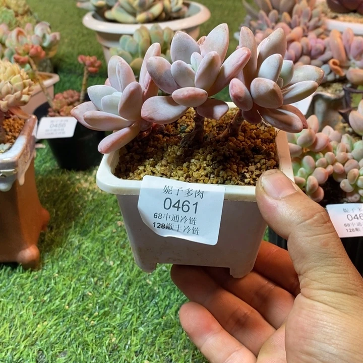 0461啊啊啊啊啊啊啊啊啊