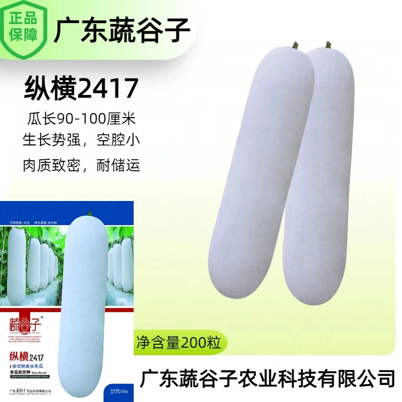 【蔬谷子】2417粉皮大冬瓜种子早熟高产爬地吊冬农家蔬菜种子