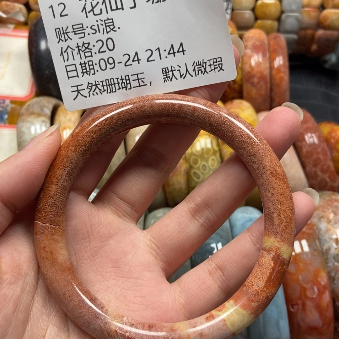 s***.未镶嵌硅化珊瑚（珊瑚玉）珠宝半成品12