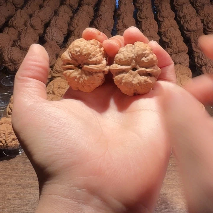 青***穆核桃蛤蟆的眼睛是真的好看