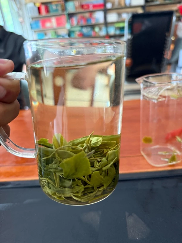 二细日照绿茶生态茶6月10日炒