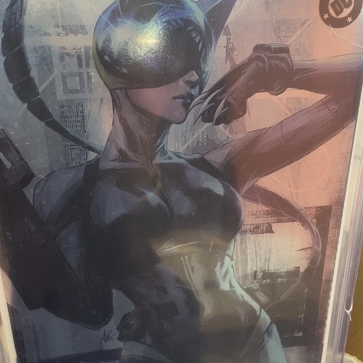 DC绝对蝙蝠侠13期闪