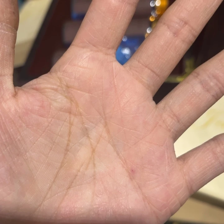 宝***粑紫砂————————————————
