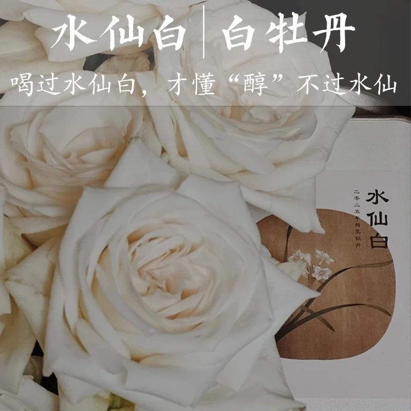 25年双十大促礼包：西江月+水仙白+梅占