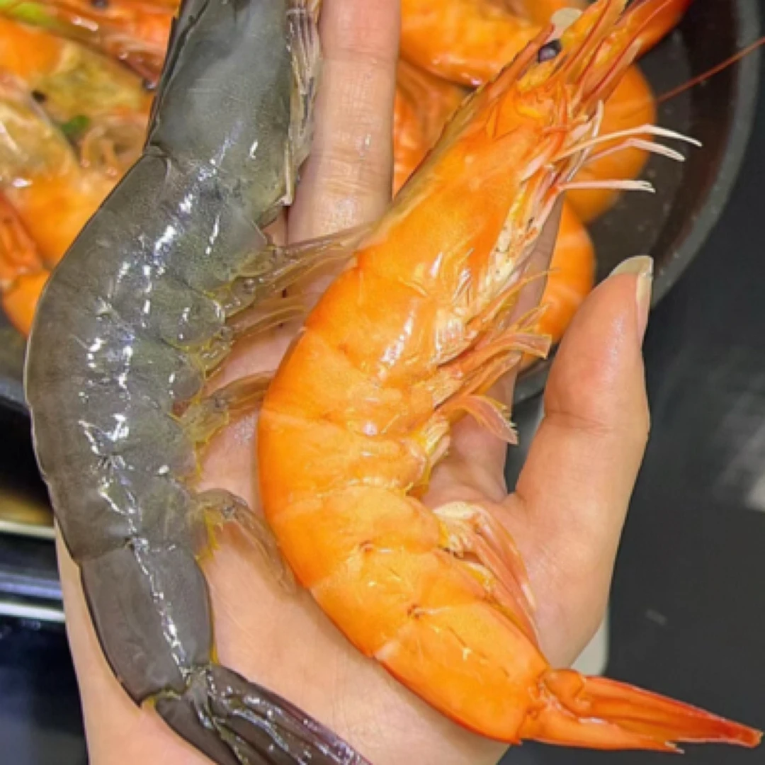 ［海鸿水产］4A大青虾