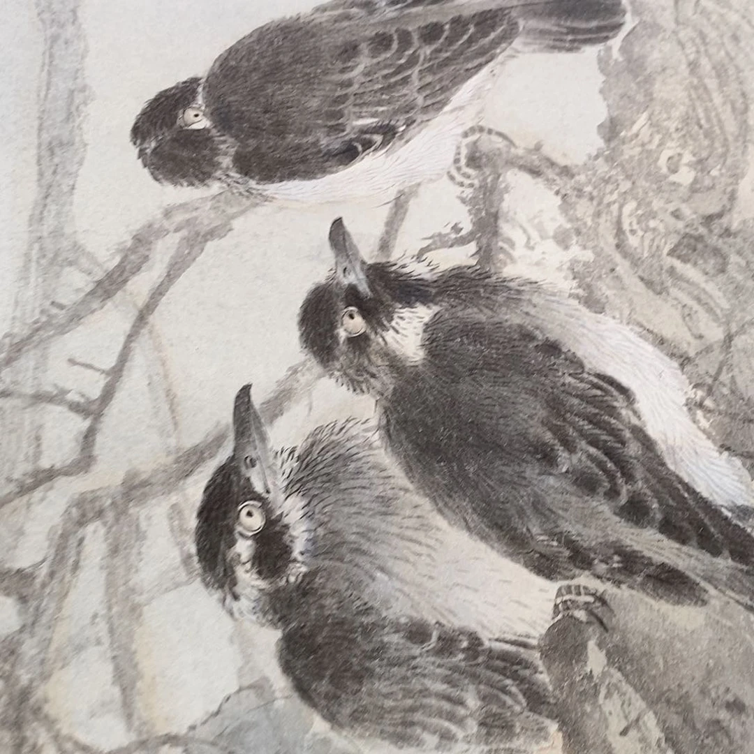 国画用****6书画作品欣赏？