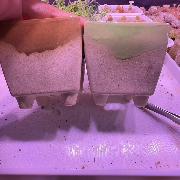 盆7，素陶流釉拼色方盆2个，多肉盆闲置处理不介意的拍！