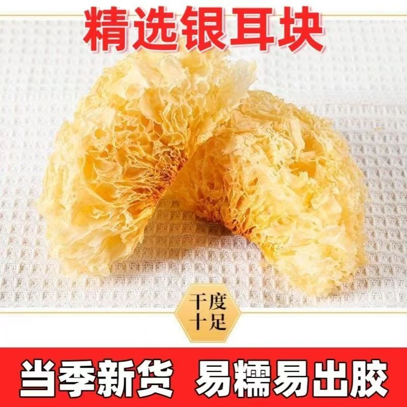 福建古田特产无硫干货银耳软糯出胶泡发率高