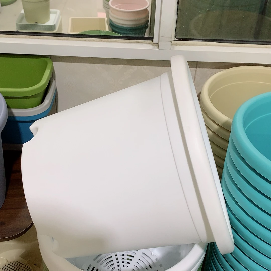 树脂四季口29白5个无托