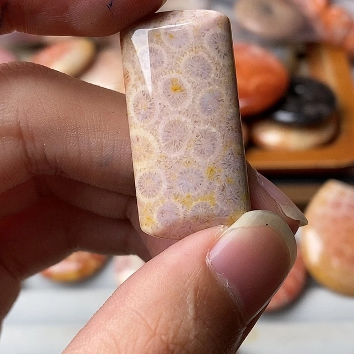 脆***猫硅化玉未镶嵌颈饰