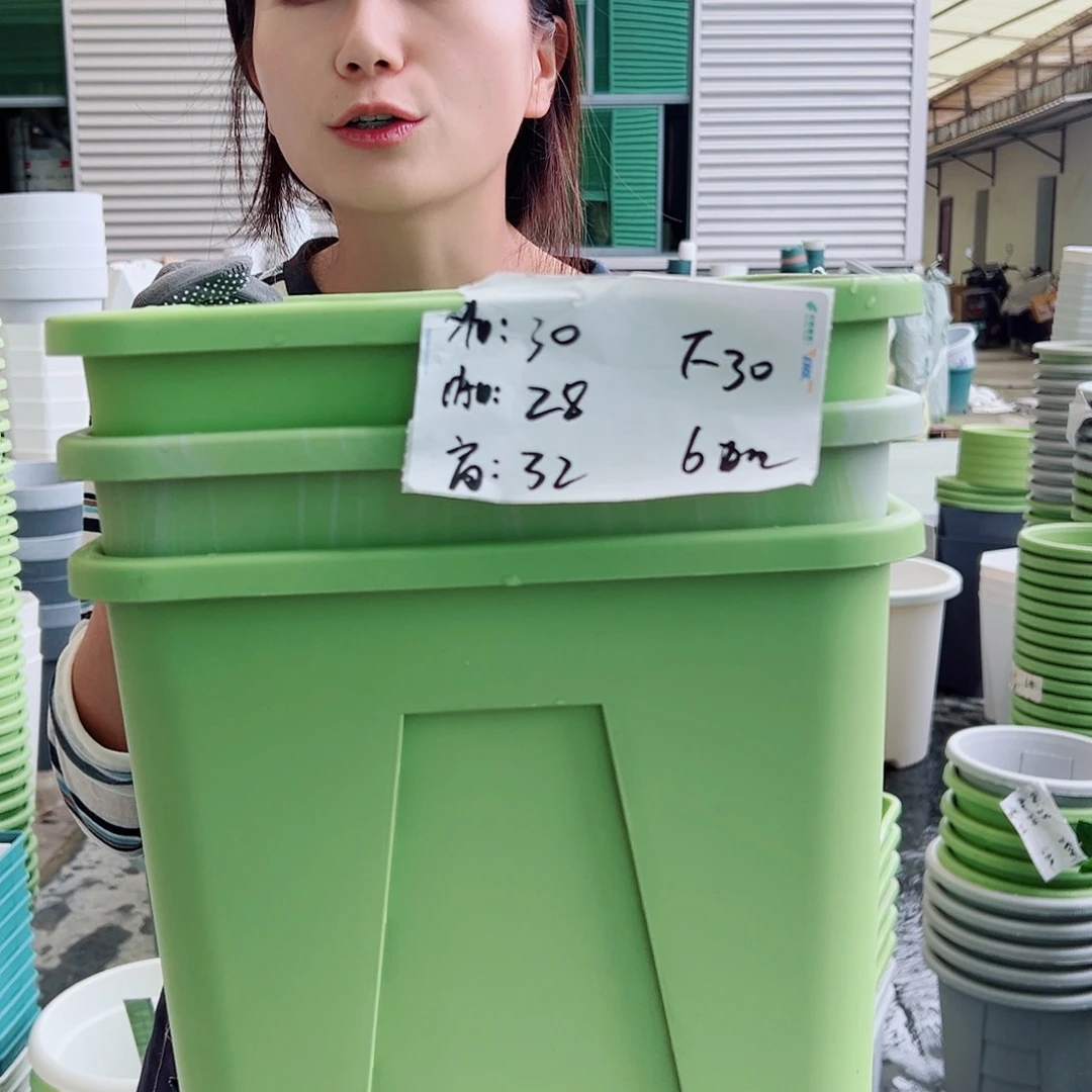 方盆F30果绿3个无托