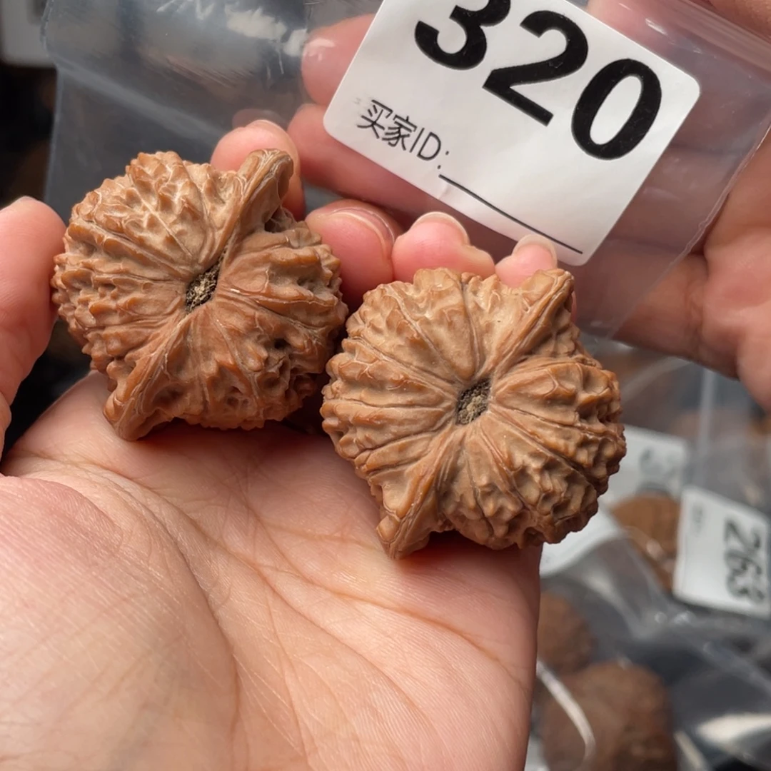 乐***乐全品41血麒麟41血麒麟