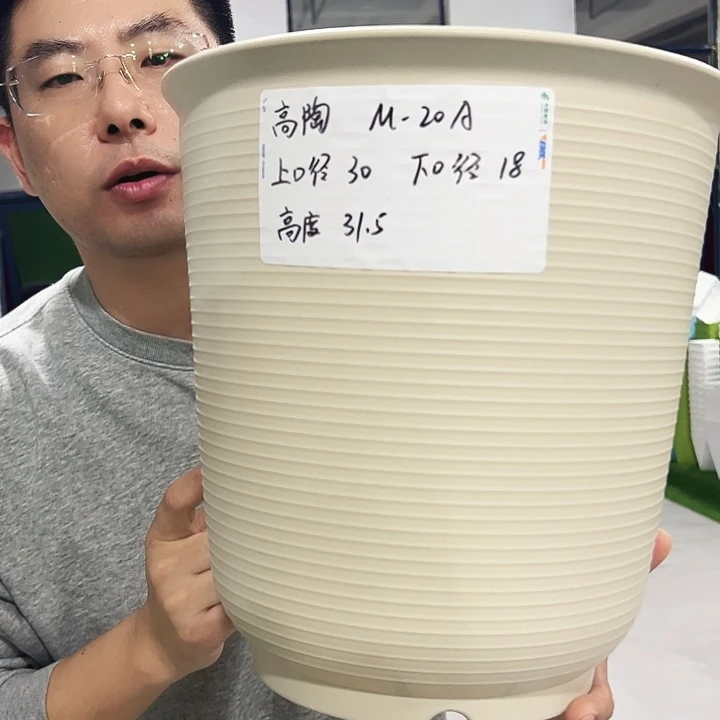 正品高陶口30高31白色3只无托