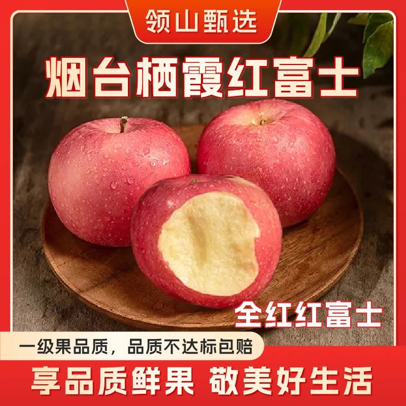 领山甄选【栖霞(全红)红富士苹果】一级果品质鲜果脆甜爽口多汁