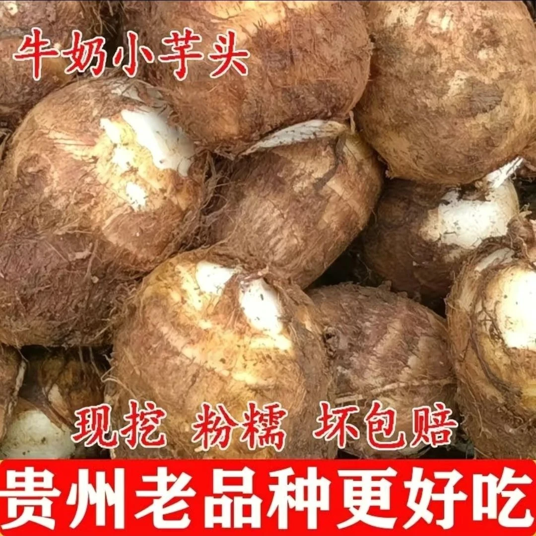 贵州新鲜现挖牛奶小芋头软糯粉滑农家自种香芋蔬菜