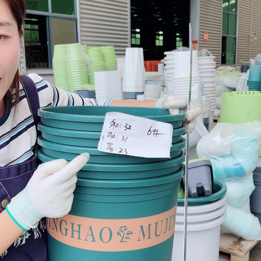 矮胖加仑6#墨绿5个无托