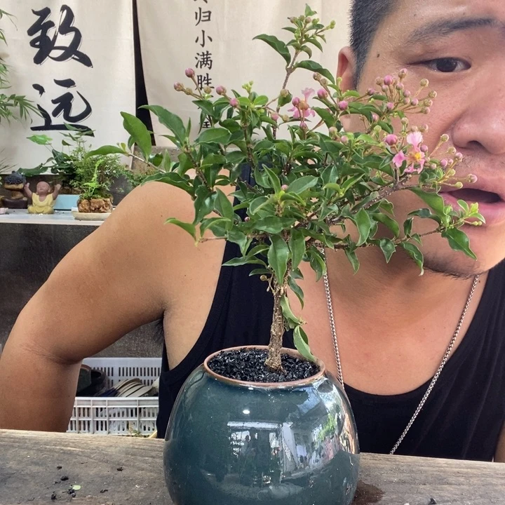 无花朵退款拉黑拉黑42
