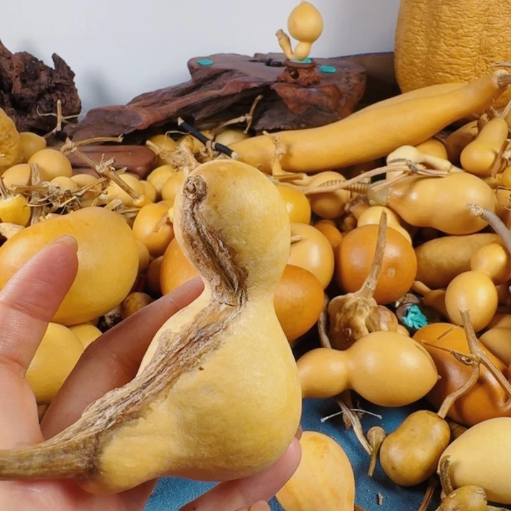 老*哥青葡萄兔兔小心翼翼