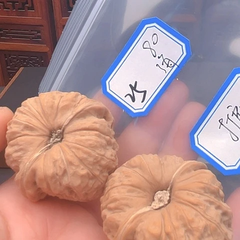 文玩核桃吊坠海****措南瓜
