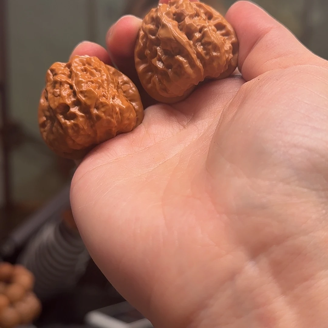大叶紫檀（黑酸枝木类）