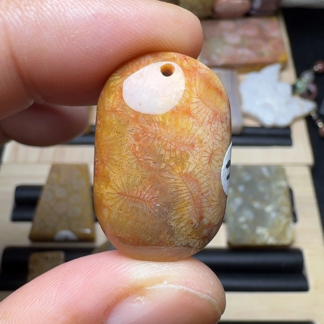 未镶嵌纯天然色有机玉石保真色硅化玉