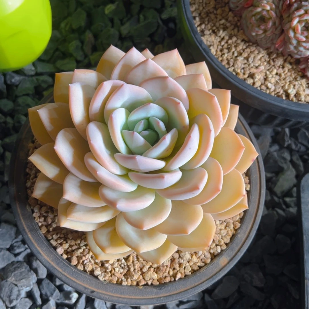 学**?111111111111111111