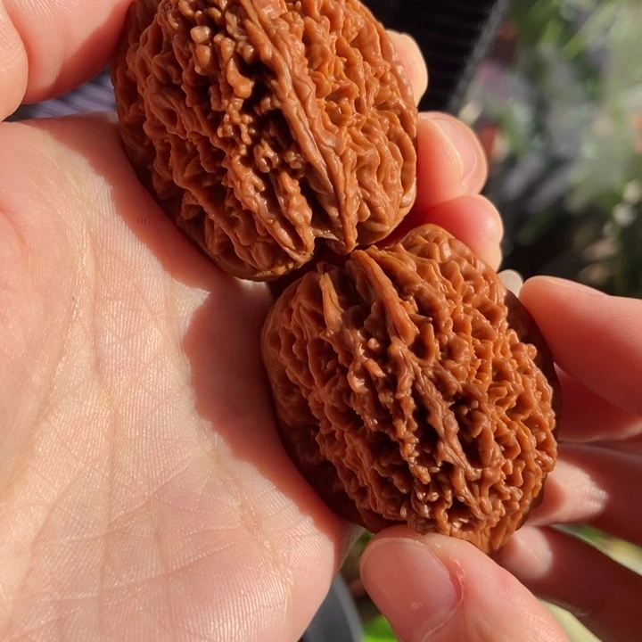 壹***哥吊坠文玩核桃6蒜头